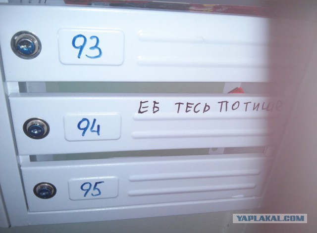 Так выглядит черная зависть