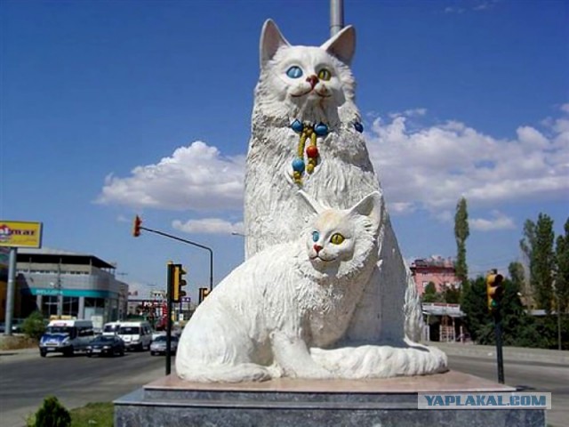 Котовторник 12.04