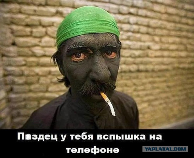Порция картинок из сети