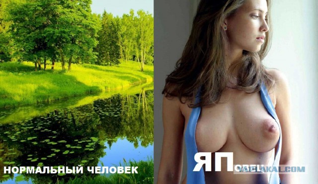Сравнение зрения человека со зрением животных
