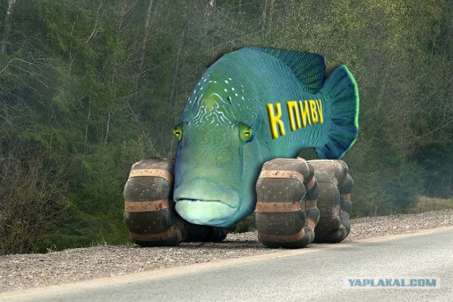Что за чудо техники?