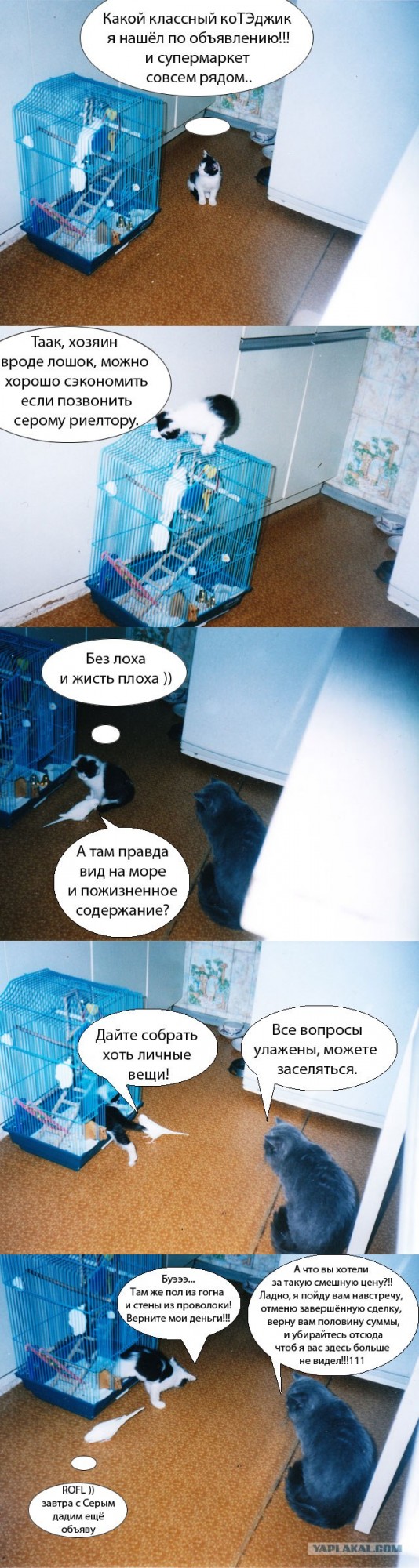 Случай из жизни младшего надзирателя