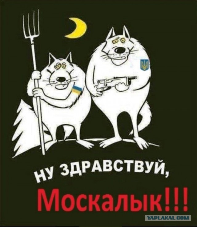 Как съездил на Западную Украину (НГ 2019)