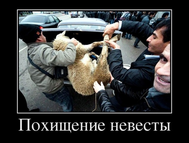 В Ингушетии депутат-единоросс украл невесту