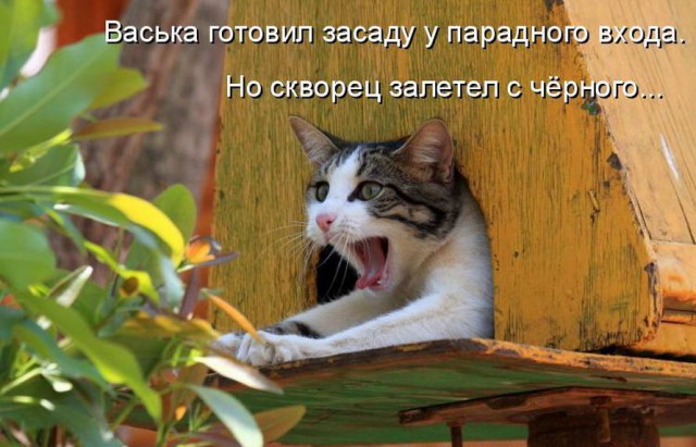 Картинок 30 штук, посмотрим?