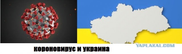 Сегодня мне стыдно за мою Украину...