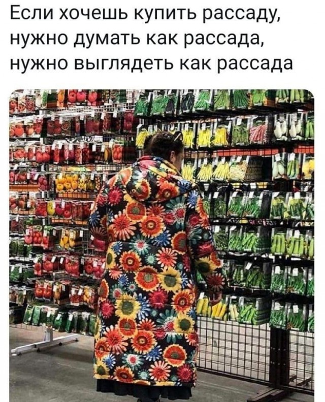 Так себе картинки