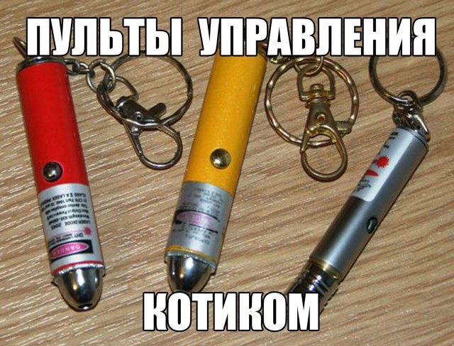Чуток картинок 20.07.20