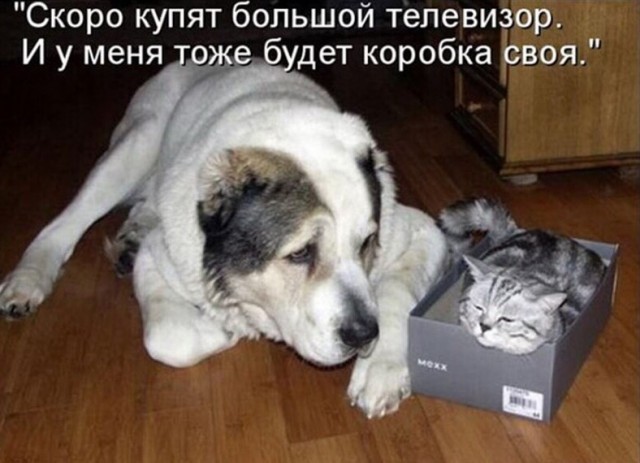 Немного картинок для настроения 28.10.20