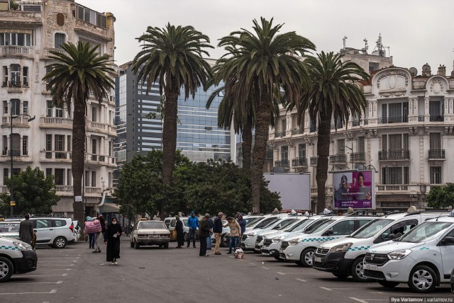 Марокко: открытые границы, крутые трамваи и вкусные лангусты
