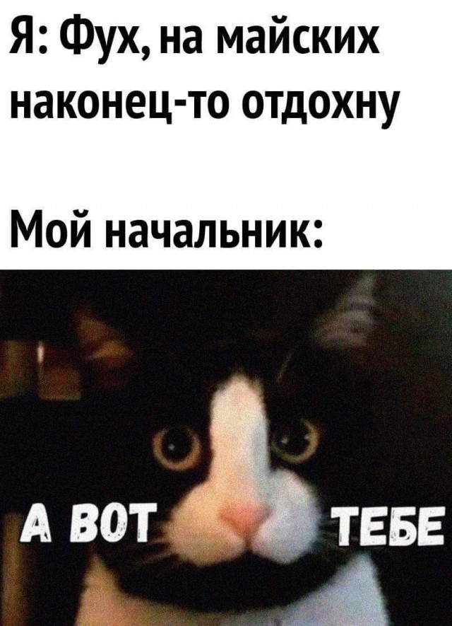 Усыновил сына жены от прошлого брака. Теперь плачу на него алименты
