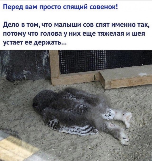 Юмор и прикольные картинки 14.05.2021