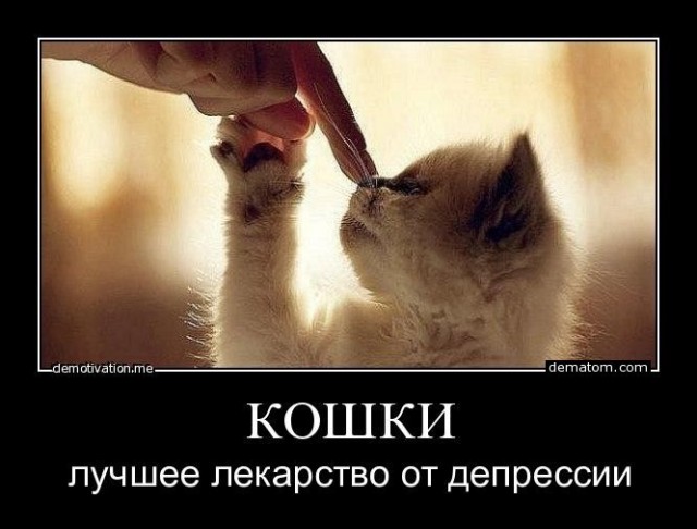Пандемия. Коронавирус. Россия и мир. Последняя информация. Часть 27
