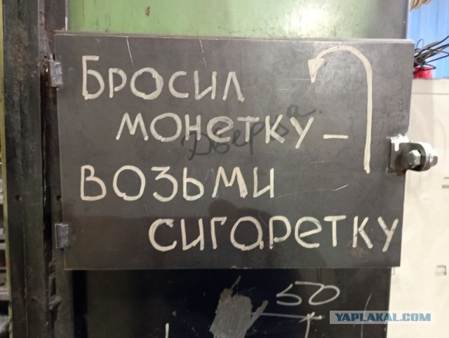 Настенная жизнь обычного завода