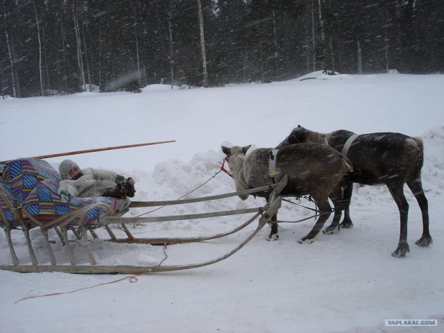 встреча на дороге