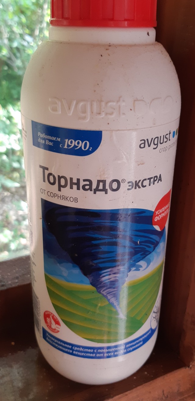 Борщевик