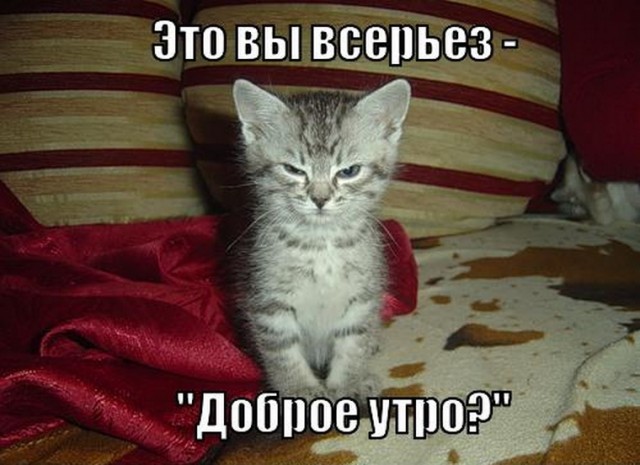 Увы, девки, природа, мы не при делах