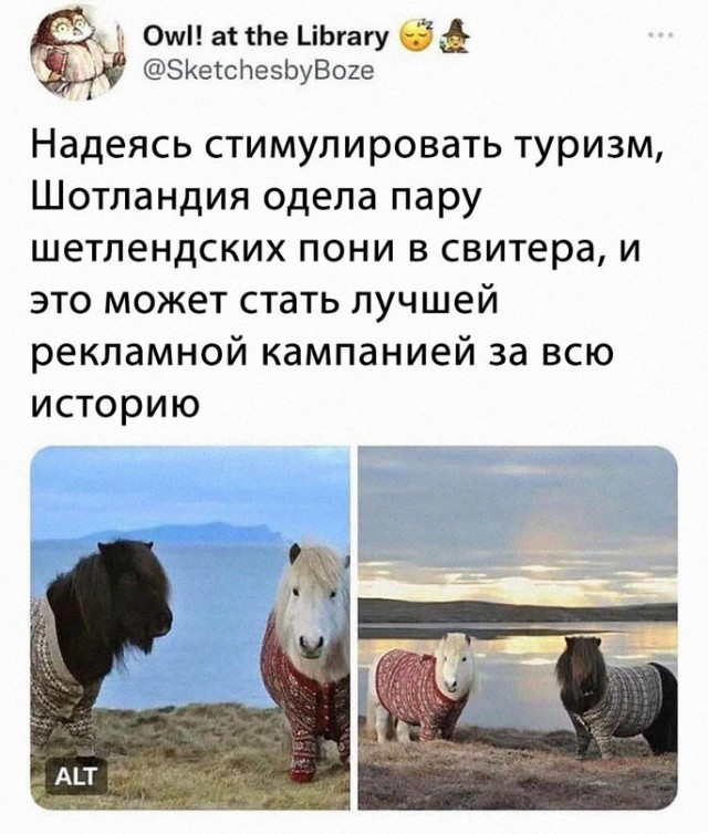 Картинки и мемы, всем хороших выходных