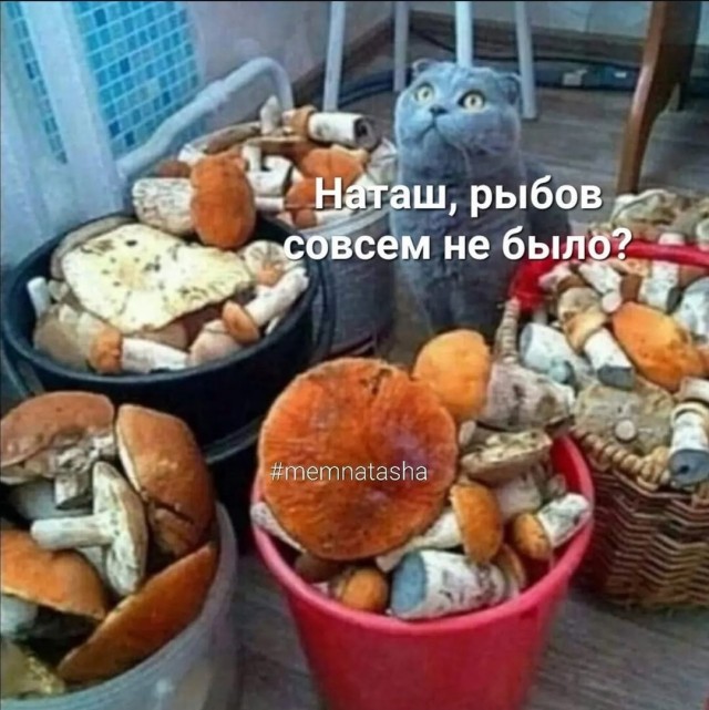 Так себе картинки 03.11.22