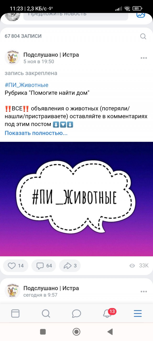 Брошенные животные.