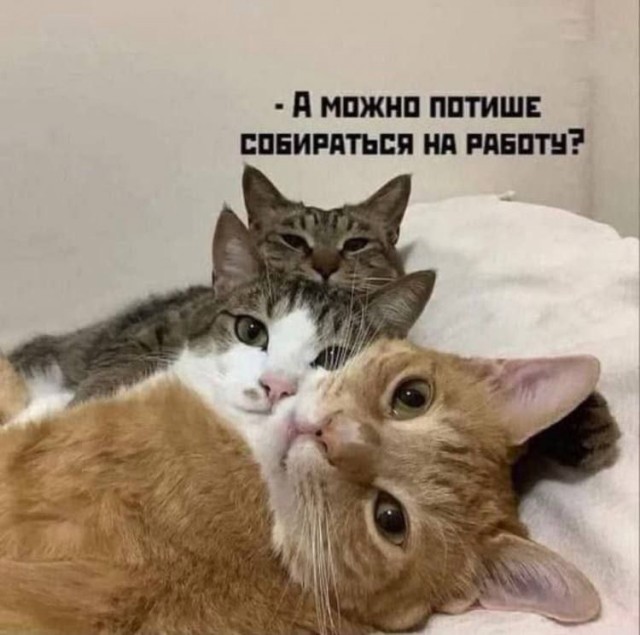 Картинки и мемы. Выходные близко...