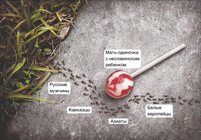 Картинки и мемы, всяко - 169