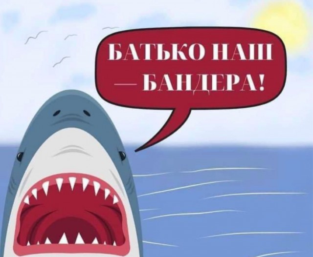 Акула насмерть загрызла мужчину в Хургаде. Всё произошло недалеко от пляжа отеля Dream Beach