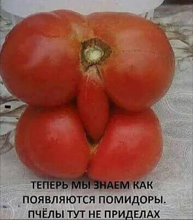 Завершаем рабочую неделю под бояны
