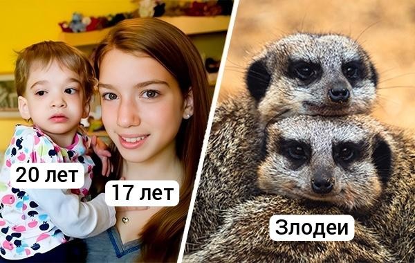 15 неочевидных фактов, которые помогут утолить вашу тягу к знаниям