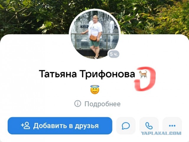 Владелец выброшенного проводницей кота рассказал о трагедии: "Так не оставлю"