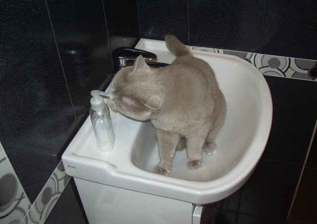 Умыться нереально