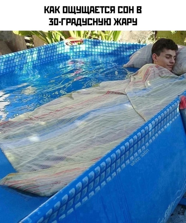 Весёлый полтишок 22.07 24
