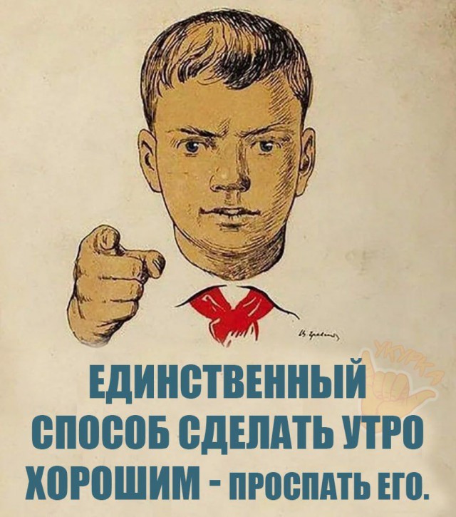 Весёлый полтишок 13.08.24