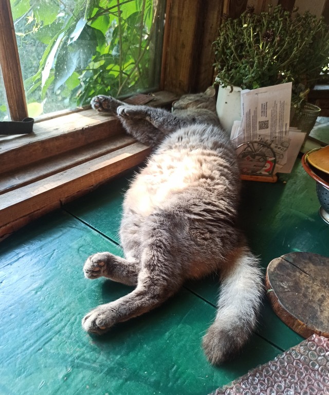 Коробочки наше фсё