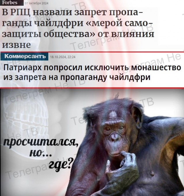 Патриарх попросил не распространять закон о запрете чайлдфри на монашек