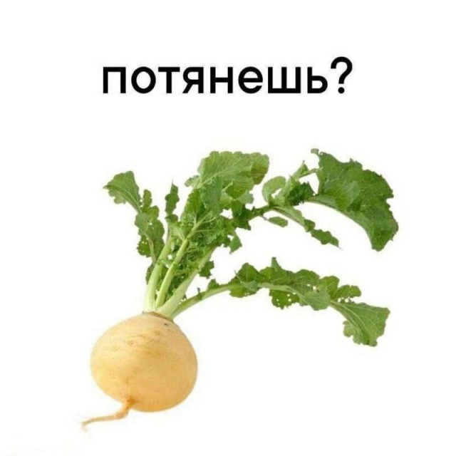 Так себе картинки 21.12.24