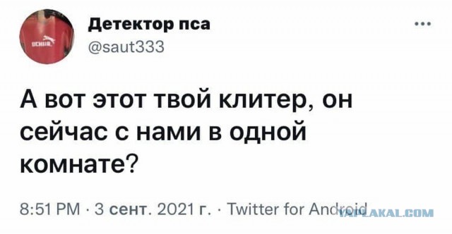 А что чувствуют девушки, когда им делают куни?