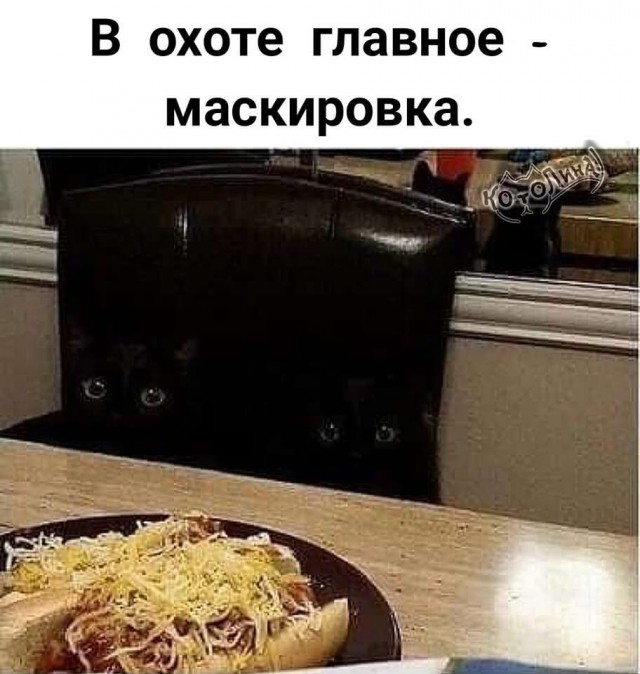 Завалялось тут случайно немного забавных картинок