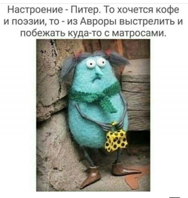 19974323.jpg