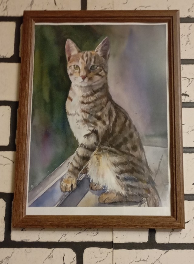 Котовторник же!
