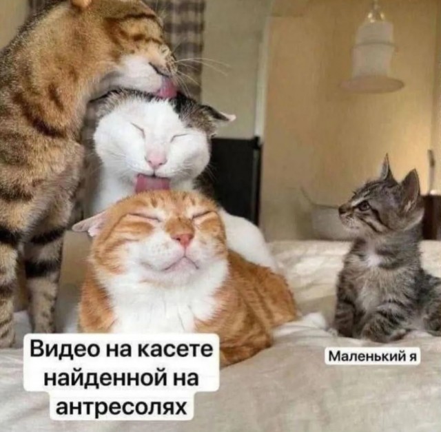 Завалялось тут случайно немного забавных картинок