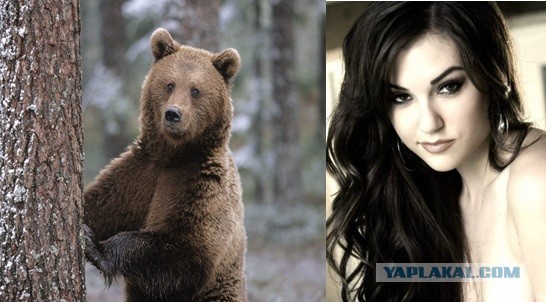 ЯП без этого - не ЯП!