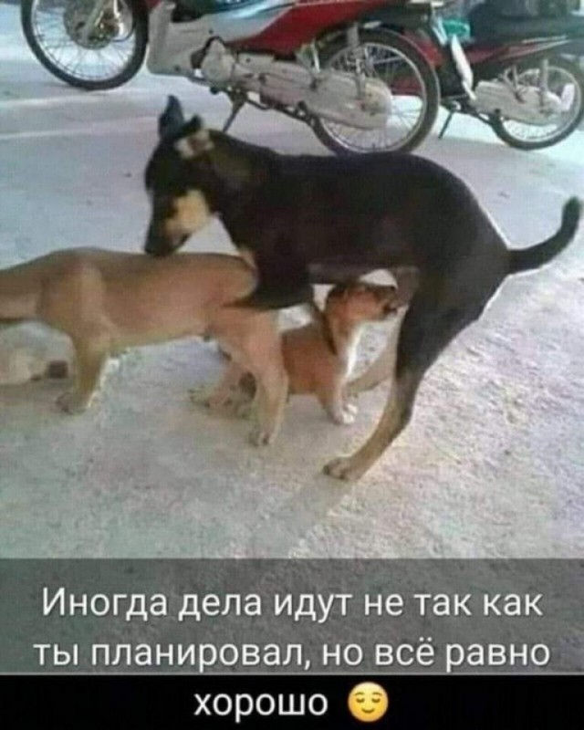Веселое настроение в картинках (30.10.2025)