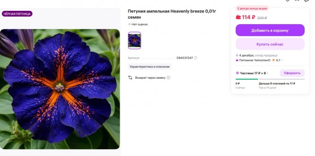 Проучить мошенников