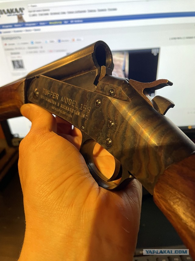 Всеядность