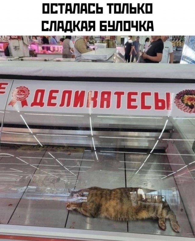 Картинки для деградации 221 (разной степени свежести)