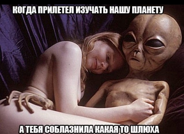 Картинки всякие разные невпопад 1.5