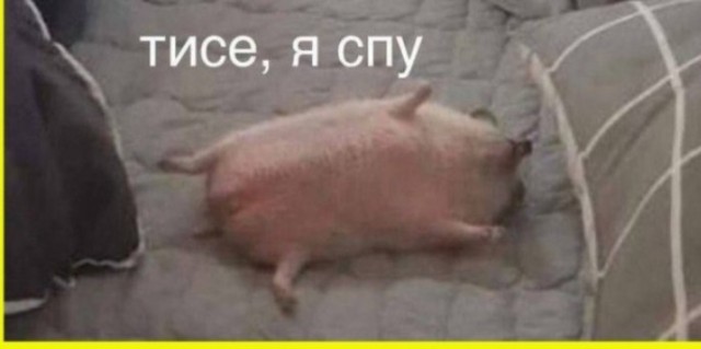 «Спасение щенка»