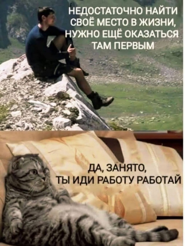 Картинки для деградации 294 (разной степени свежести)