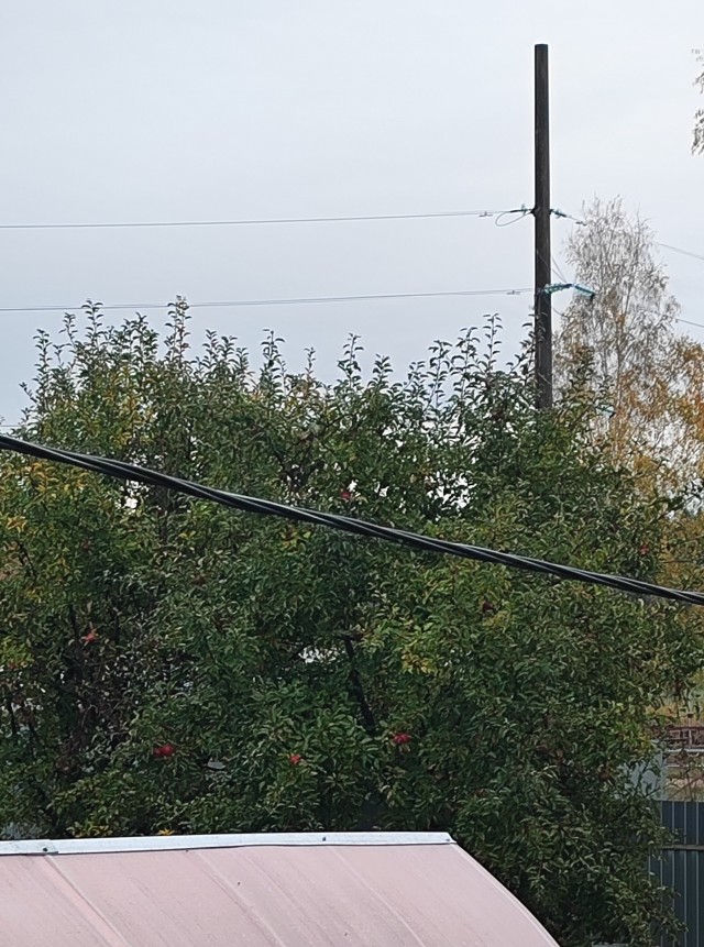 Народные приметы на Покров